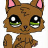 myapatterson884